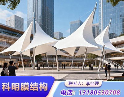 东营景观膜结构